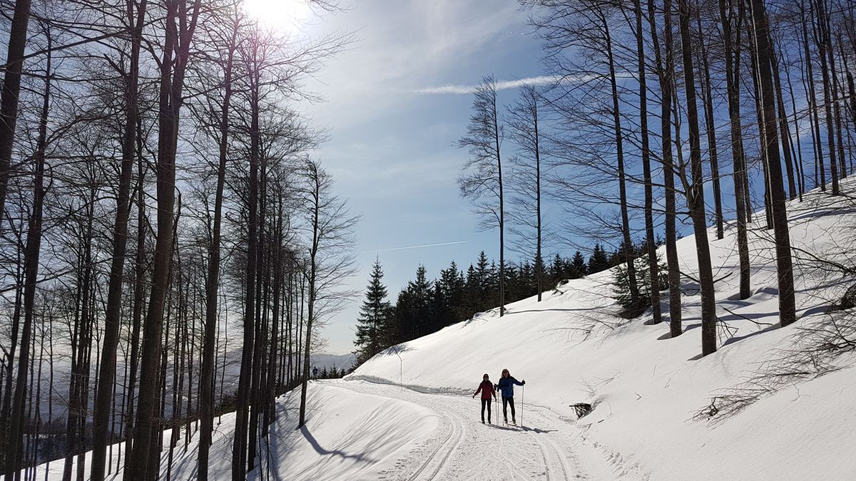 2 Langläufer in der Loipe bei strahlendem Sonnenschein