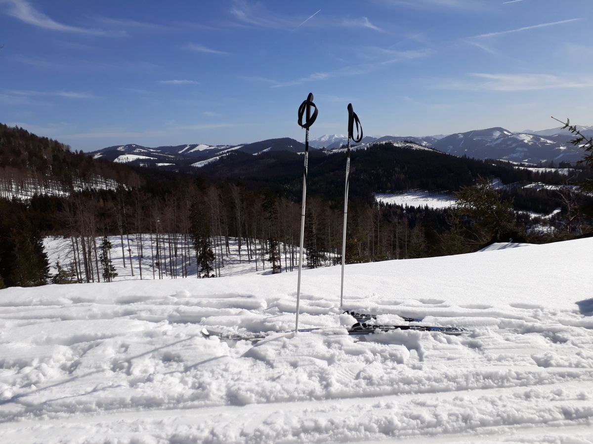 Panoramablick mit 2 Schistöcken im Vordergrund