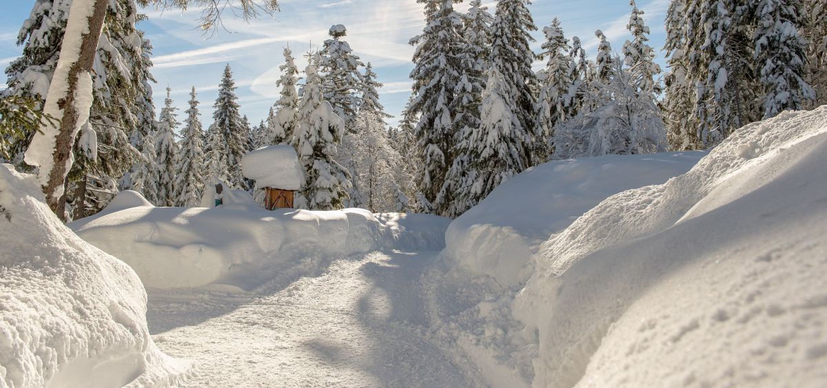 Geräumter Weg in tief verschneiter Winterlandschaft.