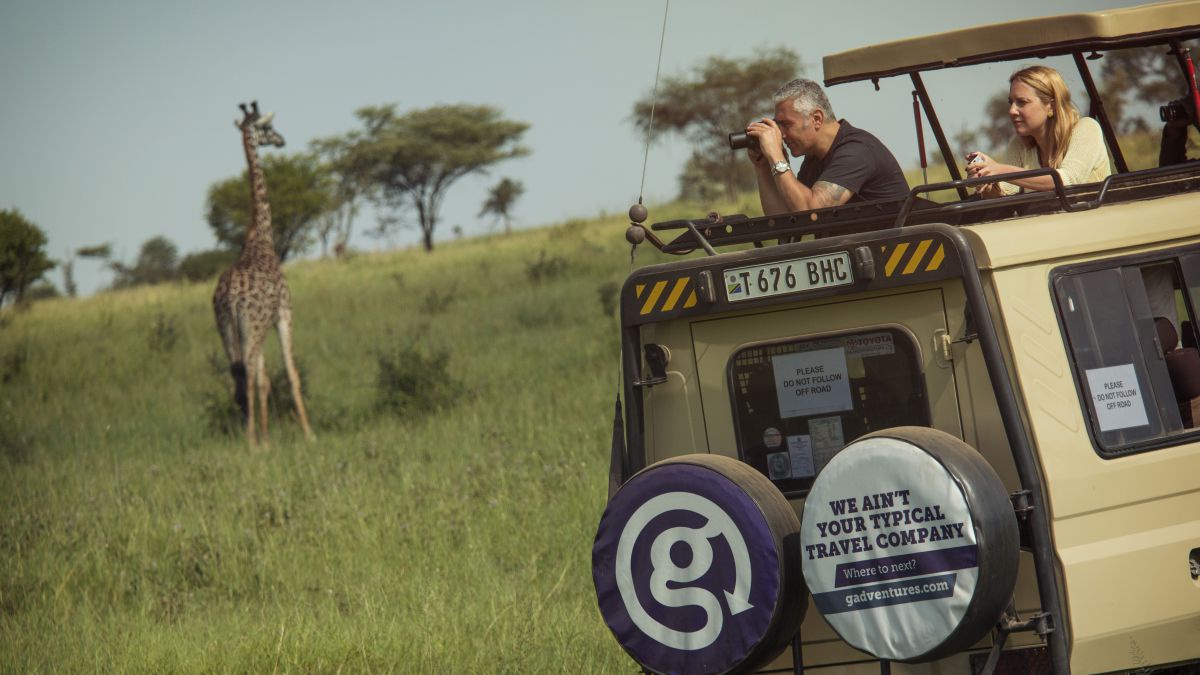 Beobachtungsfahrt im Jeep durch die Serengeti. Im Bild eine Giraffe.