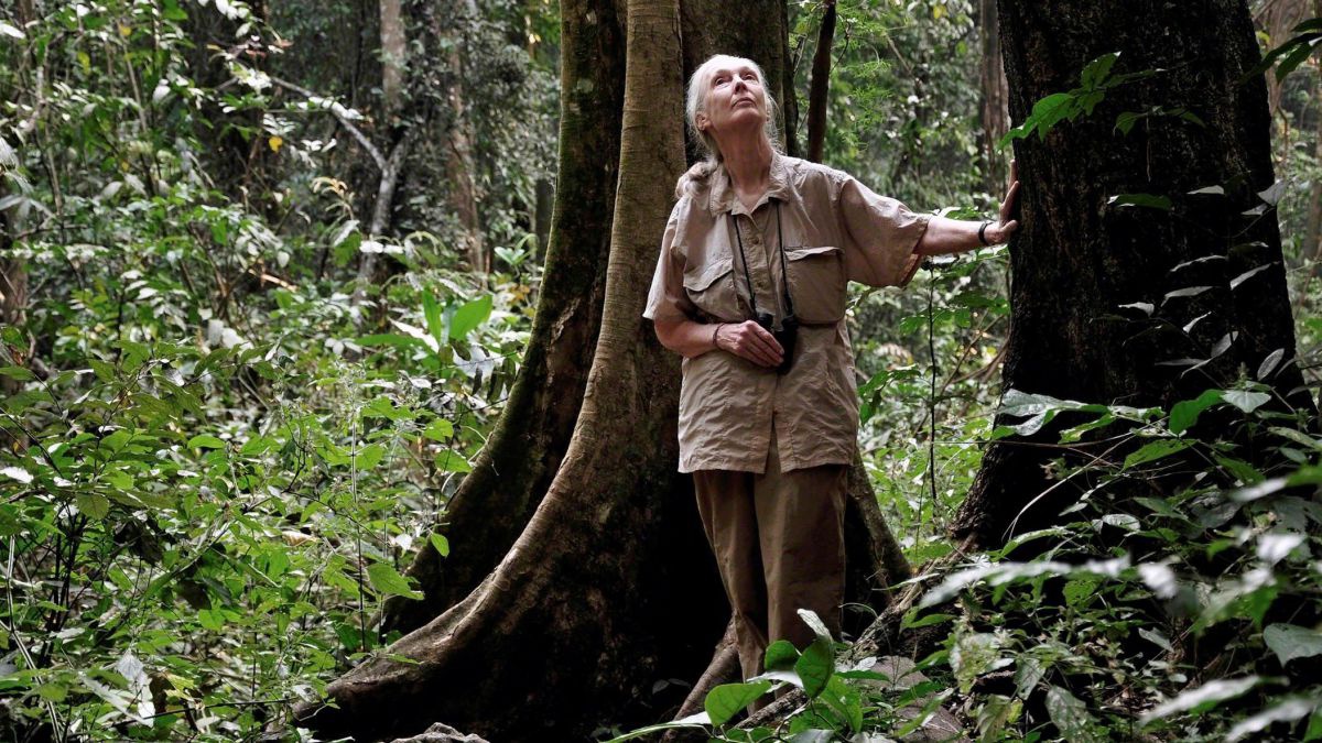 Jane Goodall in einem Urwald an einen Baum gelehnt-