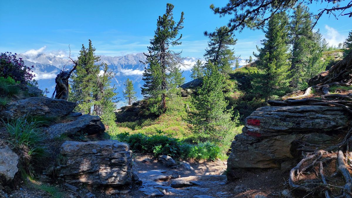 Weg führt vorbei an großen Steinbrocken, dahinter Bäume und der Blick auf das gegenüberliegende Karwendelgebirge. 