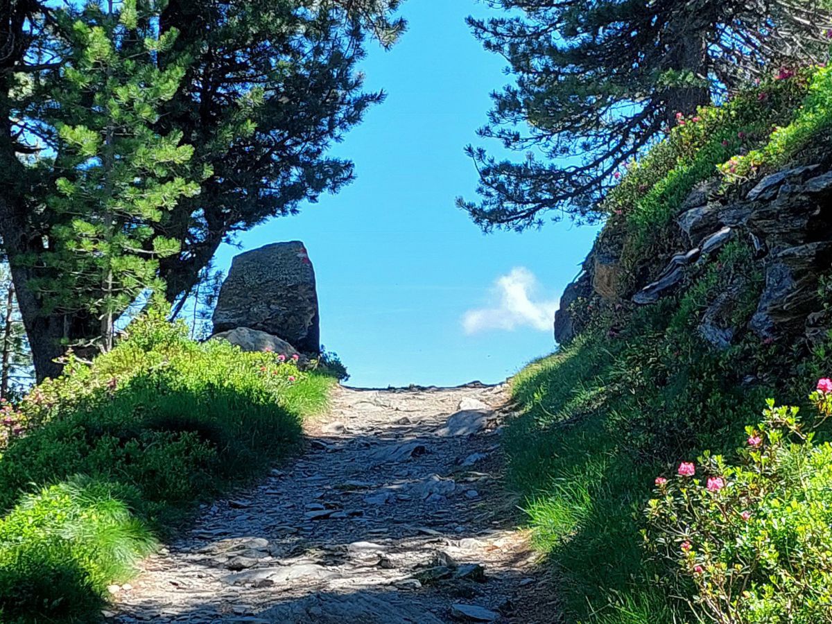 Weg führt direkt in das Blau des Himmels.