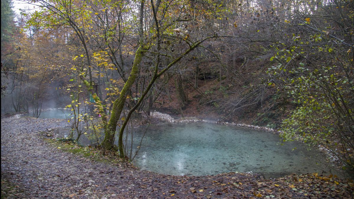 Zwei kleine Wasserbecken im Wald.