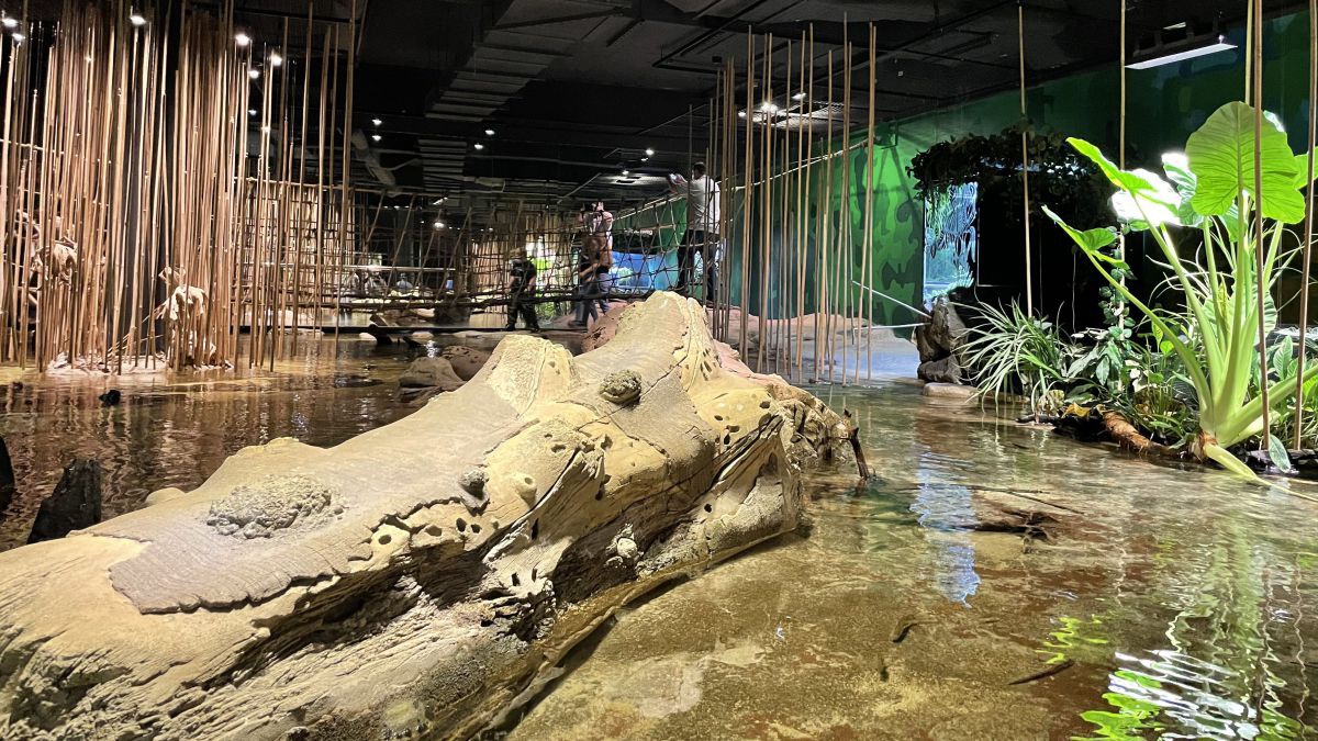 Landschaftsinstallation mit Wasser, einem knorrigen Baumstamm und Pflanzen in einer Halle.