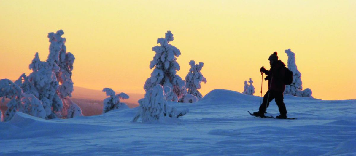 Jemand wandert dick in Winterkleidung eingepackt auf Schneeschuhen durch eine tief verschneite Landschaft im Dämmerlicht. Die Nadelbäume in der Umgebung sind unter den Schneehauben nur mehr umrisshaft zu erkennen. Der Himmel im Hintergrund ist Pastellgelb