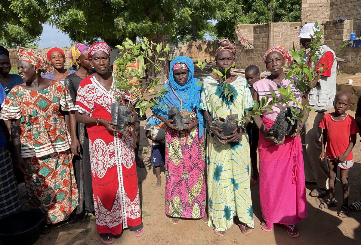 Mehrere afrikanische Frauen in bunten Kleidern halten junge Pflanzen in Töpfen in Händen.