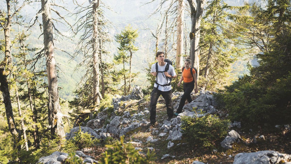 Paar wandert durch einen Wald.