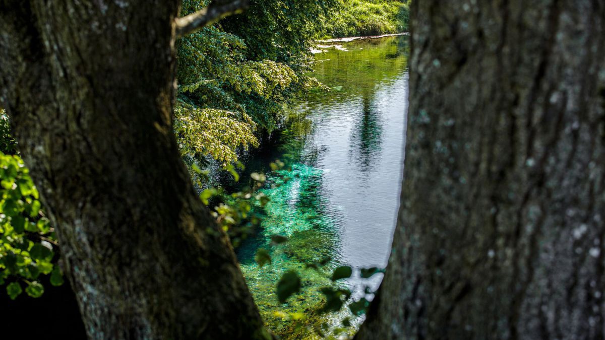 Quelle, die aussieht wie ein kleiner See.