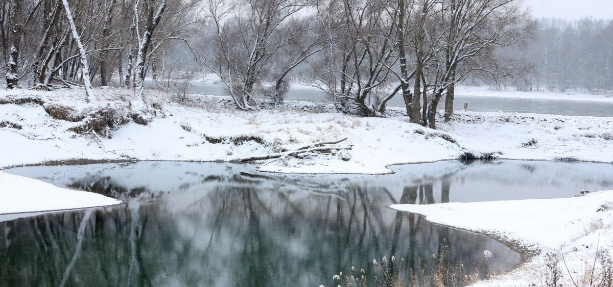 Seitenarm der Donau, die Ufer sind mit etwas Schnee bedeckt.