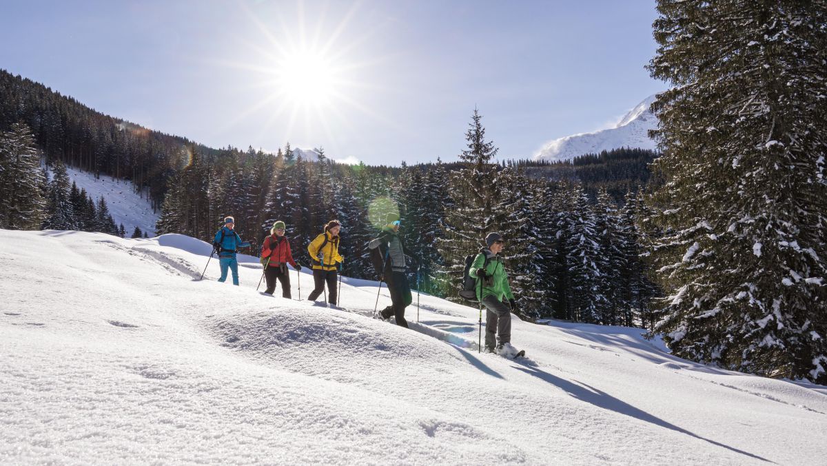 Gruppe von vier Leuten stapft mit einem Ranger auf Schneeschuhen durch den Wald.