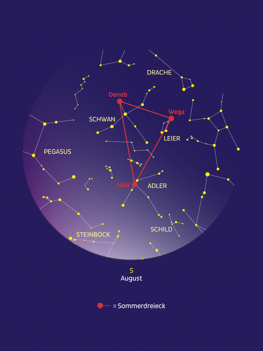 Grafische Darstellung der Sternbilder des Sommerdreiecks.