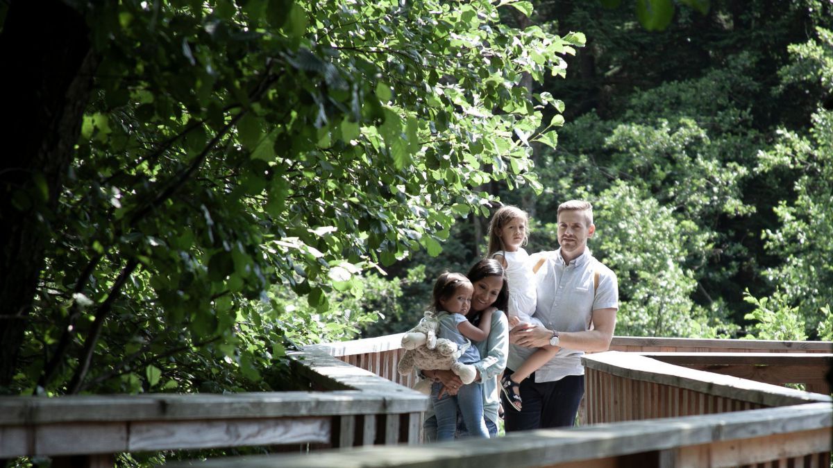 Ein junges Paar mit zwei kleinen Kindern posiert auf einem Holzsteg mit beidseitigem Geländer. Rundherum dicht belaubte Baumkronen.