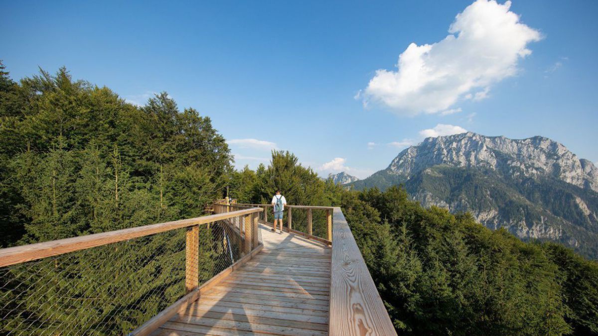 Ein Steg aus hellem Holz mit beidseitigem Geländer führt auf Baumwipfelhöhe durch und über ein Waldgebiet. Am Horizont Berge unter blauem Himmel.